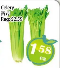 Food Depot Supermarket Celery offer
