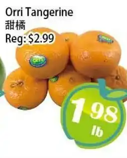Food Depot Supermarket Orri Tangerine offer