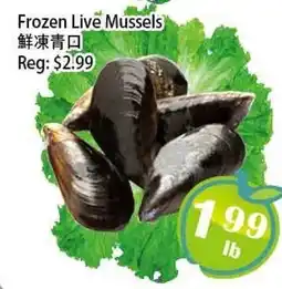 Food Depot Supermarket Frozen Live Mussels offer