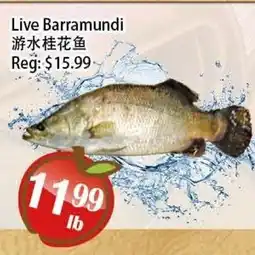Food Depot Supermarket Live Barramundi offer