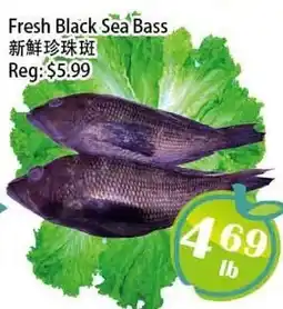 Food Depot Supermarket Fresh Black Sea Bass offer