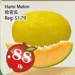 Food Depot Supermarket Hami Melon offer