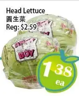 Food Depot Supermarket Head Lettuce offer
