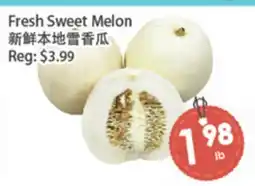 Fresh Palace Supermarket Fresh Sweet Melon offer