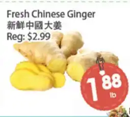 Fresh Palace Supermarket Fresh Chinese Ginger offer