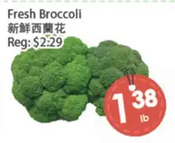 Fresh Palace Supermarket Fresh Broccoli offer