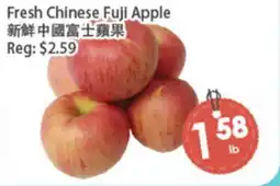 Fresh Palace Supermarket Fresh Chinese Fuji Apple offer