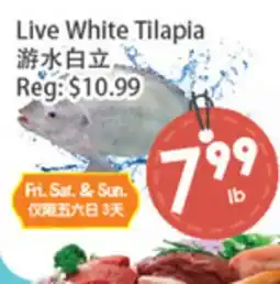Fresh Palace Supermarket Live White Tilapia offer