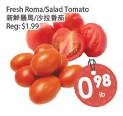 Fresh Palace Supermarket Fresh Roma/Salad Tomato offer