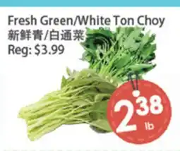 Fresh Palace Supermarket Fresh Green/White Ton Choy offer