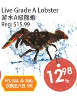 Fresh Palace Supermarket Live Grade A Lobster offer