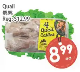 Fresh Palace Supermarket Quail offer