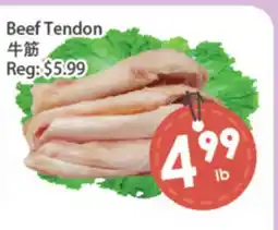 Fresh Palace Supermarket Beef Tendon offer