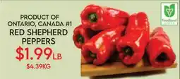 Fiesta Farms PRODUCT OF ONTARIO, CANADA #1 RED SHEPHERD PEPPERS offer