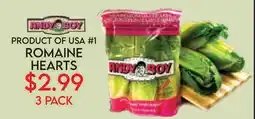 Fiesta Farms ANDY BOY ROMAINE HEARTS offer