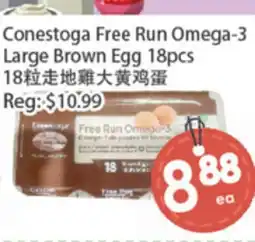 Fresh Palace Supermarket Conestoga Free Run Omega-3 Large Brown Egg 18pcs offer