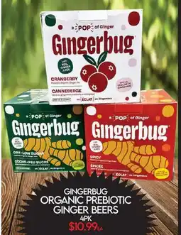 Fiesta Farms GINGERBUG ORGANIC PREBIOTIC GINGER BEERS offer