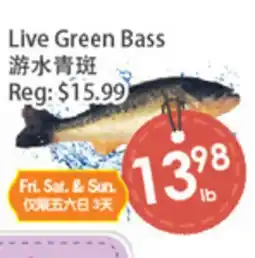 Fresh Palace Supermarket Live Green Bass offer