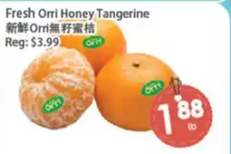 Fresh Palace Supermarket Fresh Orri Honey Tangerine offer