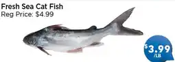 Blue Sky Supermarket Fresh Sea Cat Fish offer
