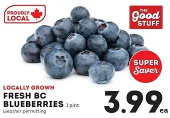Fresh bc blueberries
