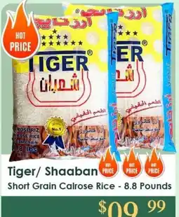 Roua Food Market Tiger/ Shaabon Short Grain Calrose Rice offer
