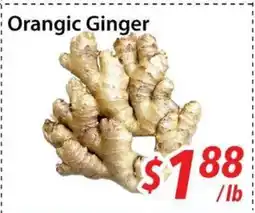 Bestco Food Mart Orangic Ginger offer