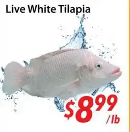 Bestco Food Mart Live White Tilapia offer
