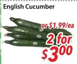 Bestco Food Mart English Cucumber offer