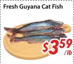 Bestco Food Mart Fresh Guyana Cat Fish offer