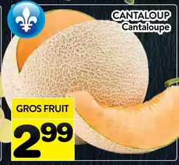 Supermarché PA CANTALOUP | Cantaloupe offer