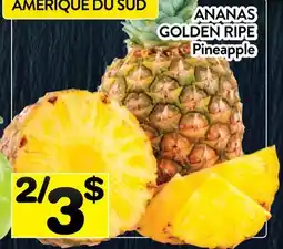Supermarché PA ANANAS GOLDEN RIPE | Pineapple offer