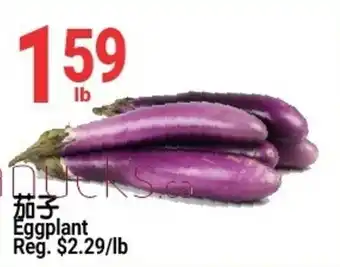 Eggplant