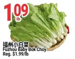 SunFood Supermarket Fuzhou Baby Bok Choy offer