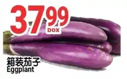 SunFood Supermarket Eggplant offer