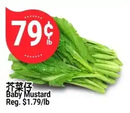 SunFood Supermarket Baby Mustard offer