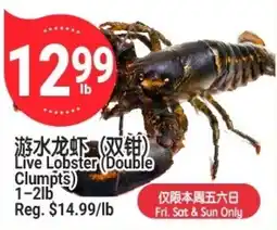 SunFood Supermarket Live Lobster (Double Clumpt) offer