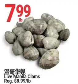 SunFood Supermarket Live Manila Clams offer