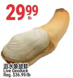 SunFood Supermarket Live Geoduck offer