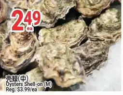 SunFood Supermarket Oysters Shell-on offer