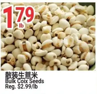 Bulk Coix Seeds