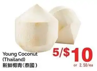 Young Coconut
