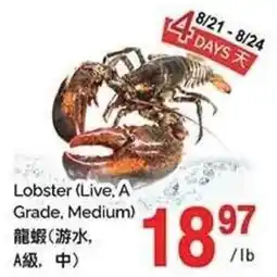 T&T Supermarket Lobster offer