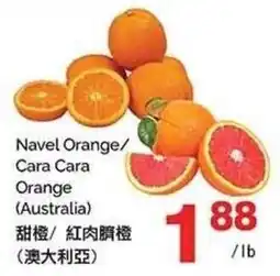 T&T Supermarket Navel Orange/ Cara Cara Orange offer