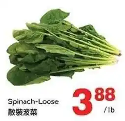 T&T Supermarket Spinach-loose offer