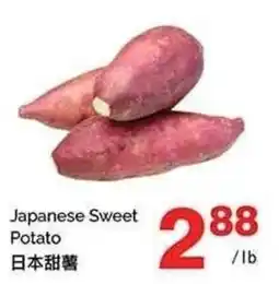 T&T Supermarket Japanese Sweet Potato offer