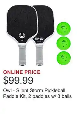 Costco Owl - Silent Storm Pickleball Paddle Kit, 2 paddles w/ 3 balls offer