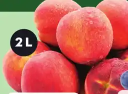 Giant Tiger 2 L Peaches offer