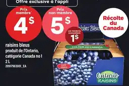 Maxi RAISINS BLEUS offer