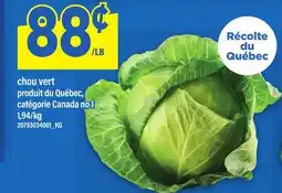 Maxi CHOU VERT offer